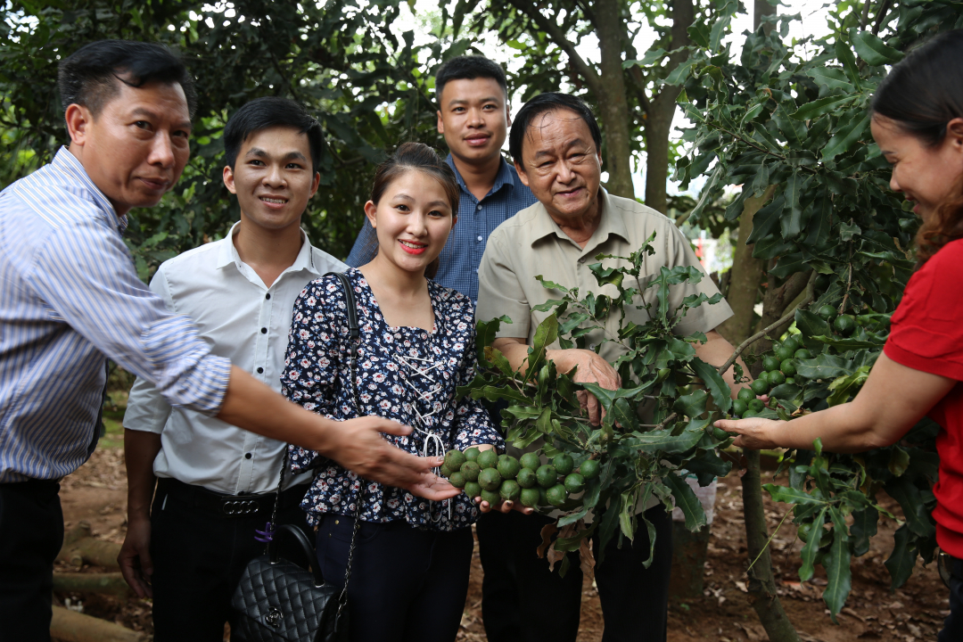 Chuyên gia Nguyễn Lân Hùng cùng các doanh nghiệp, người dân tham quan vườn mắc ca tại Lâm Đồng.