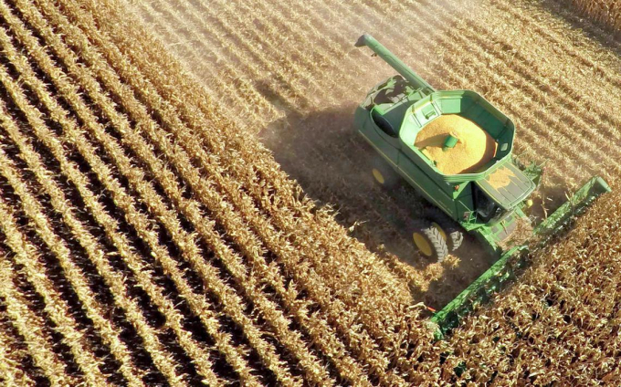 Hình ảnh chụp từ trên không cảnh nông dân tại Malden, Illinois, Hoa Kỳ thu hoạch ngô. Ảnh: Daniel Acker/Bloomberg.