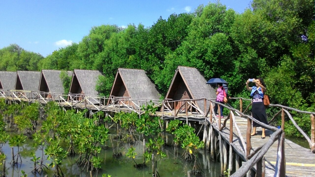 Một dự án du lịch nghỉ dưỡng 'cắm' sâu vào vùng rừng ngập mặn ở Jakarta. Ảnh: sarahbeekmans.com.