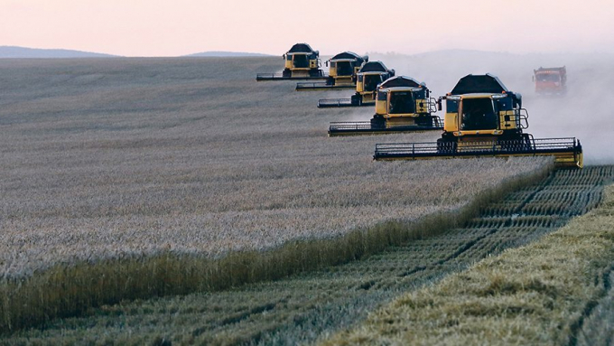 Nga tuyên bố công thức mới tính thuế xuất khẩu lúa mì (Trong ảnh: Cánh đồng lúa mì của Công ty nông nghiệp Solgonskoye gần làng Talniki ở Siberia, năm 2015). Ảnh: Reuters.