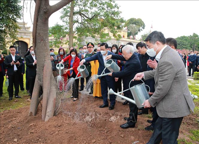 Tổng Bí thư, Chủ tịch nước Nguyễn Phú Trọng trồng cây lưu niệm tại Khu Di tích Hoàng Thành Thăng Long. Ảnh: TTXVN.