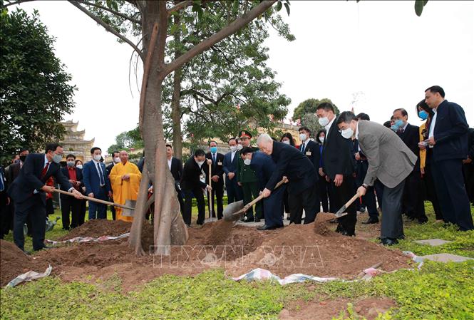 Tổng Bí thư, Chủ tịch nước Nguyễn Phú Trọng trồng cây lưu niệm tại Khu Di tích Hoàng Thành Thăng Long. Ảnh: TTXVN.