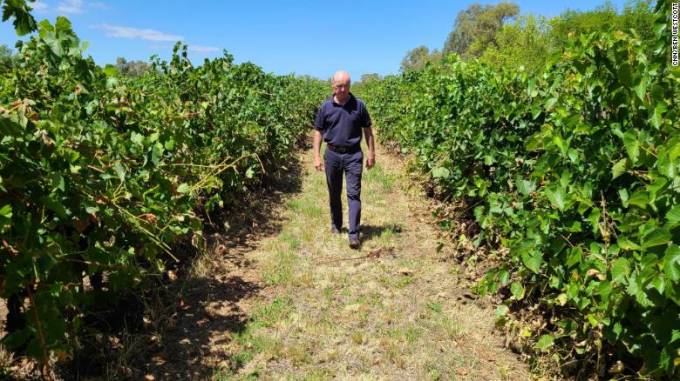 Alister Purbrick - giám đốc tập đoàn Tahbilk trên cánh đồng nho của gia đình ở Victoria (Australia). Ảnh: CNN.