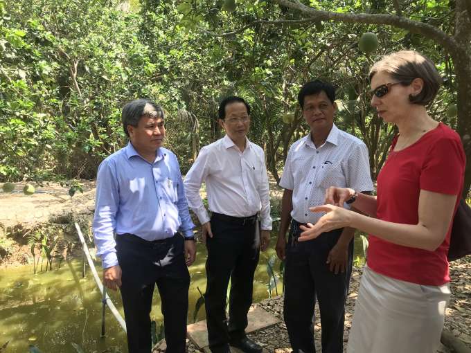 Canadian Ambassador Deborah Paul visited the pomelo garden of a member of Ben Tre green pomelo cooperative.