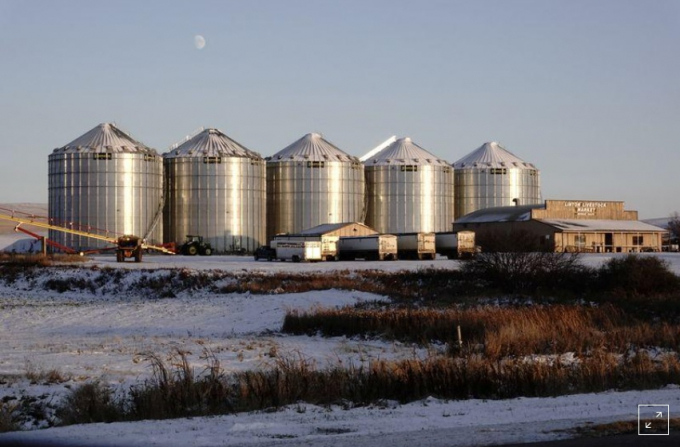 Grain silos are seen behind the Linton Livestock Market as the coronavirus disease (COVID-19) outbreak continues in Linton, North Dakota, U.S., October 26, 2020. Photo: Reuters.