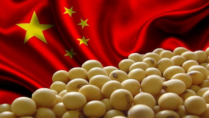 Nhập khẩu đậu tương của Trung Quốc tăng kỷ lục vào năm ngoái (Ảnh minh họa).