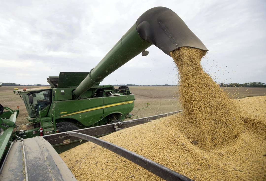 Bộ Nông nghiệp Hoa Kỳ dự đoán dự trữ đậu tương trong nước ở mức 120 triệu giạ.