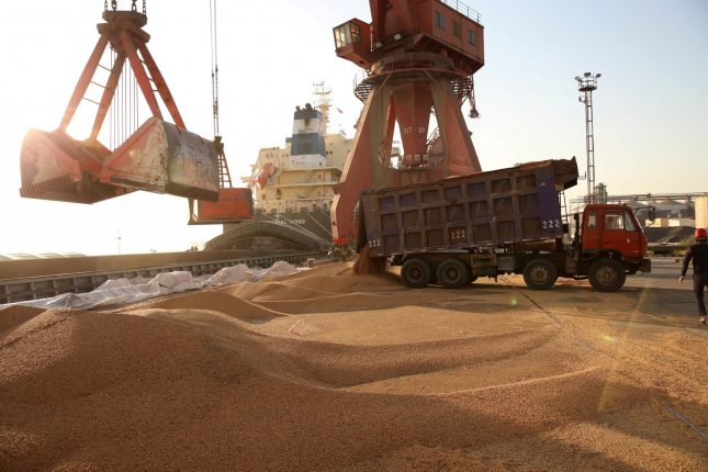Mỗi tuần, Trung Quốc lại nhập khoảng 2 triệu tấn đậu tương từ Brazil (Ảnh minh họa).