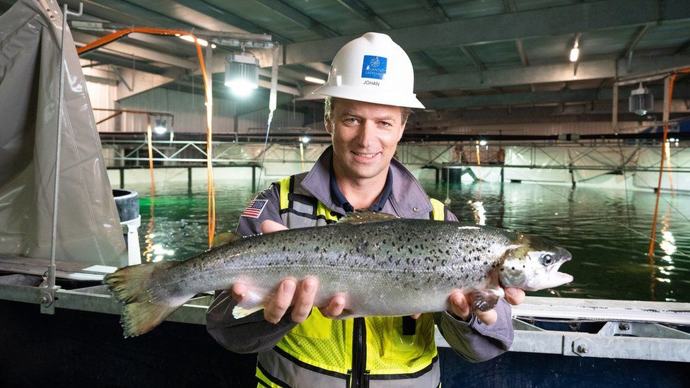 Johan Andreassen giới thiệu cá hồi nuôi tại Nhà Xanh. Ảnh: Atlantic Sapphire.