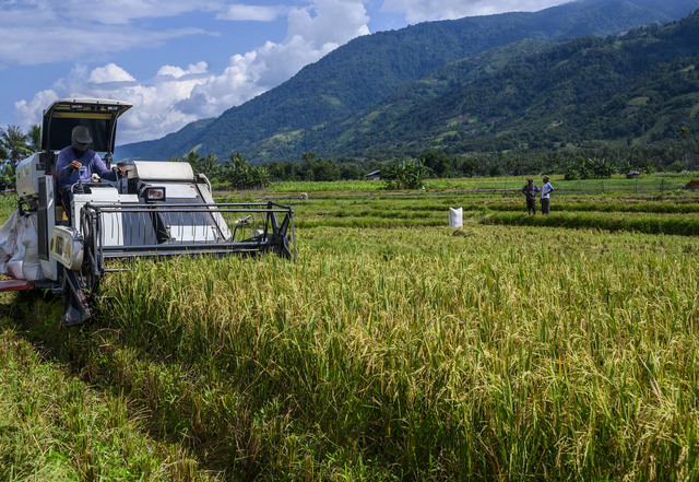Nông dân Indonesia sử dụng máy gặt đập liên hợp. Ảnh: Jakarta Globe.