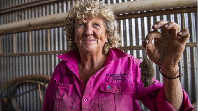 Grain farmer Fiona Adams from Wellington in NSWâs Central West holds a mouse that her dog killed. Photo: Sydney Morning Herald.