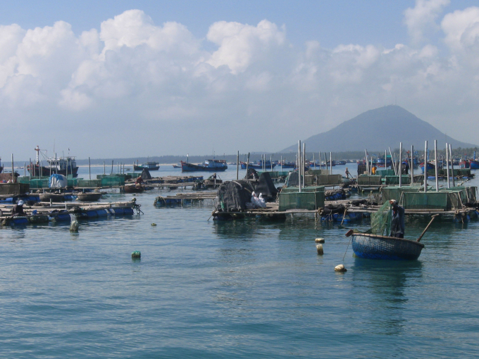 Xuan Dai Bay in Song Cau Town is known as a capital of lobster farming in the south-central province of Phu Yen. Photo: KS.