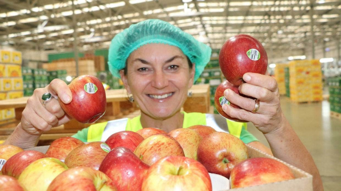 Bà Heidi Stiefel, Giám đốc cung cấp thực phẩm hữu cơ của Bostock New Zealand, khoe nhãn dán táo PLU có thể phân hủy vào năm 2019. Ảnh: Stuff.