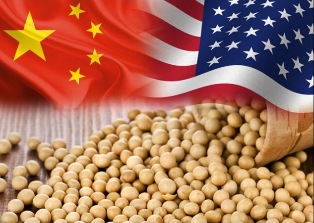 Các chuyên gia nhận định nhu cầu về nhập khẩu ngũ cốc từ Hoa Kỳ của Trung Quốc sẽ tiếp tục tăng nhanh và mạnh. (Ảnh minh họa).