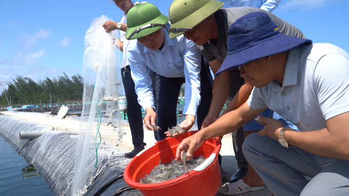 The quality of the seed determines over 50% of shrimp farming’s success.