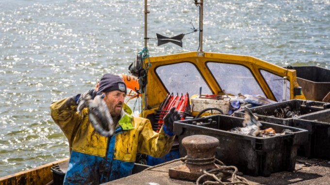 Theo các quy định mới được Nghị viện châu Âu thông qua, việc mua lại ban đầu hoặc quyền sở hữu một phần lên đến 33% tàu cá có thể được tài trợ nếu ngư dân không quá 40 tuổi và có kinh nghiệm làm ngư dân ít nhất 5 năm. Ảnh: Shutterstock.