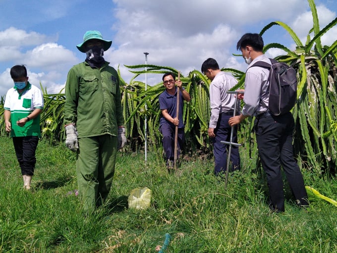 Hình ảnh lấy mẫu đất tại Bình Thuận.