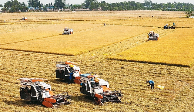 Phó Giám đốc Sở NN-PTNT An Giang kiến nghị ưu tiên cho hoạt động sản xuất nông nghiệp (Ảnh minh họa).