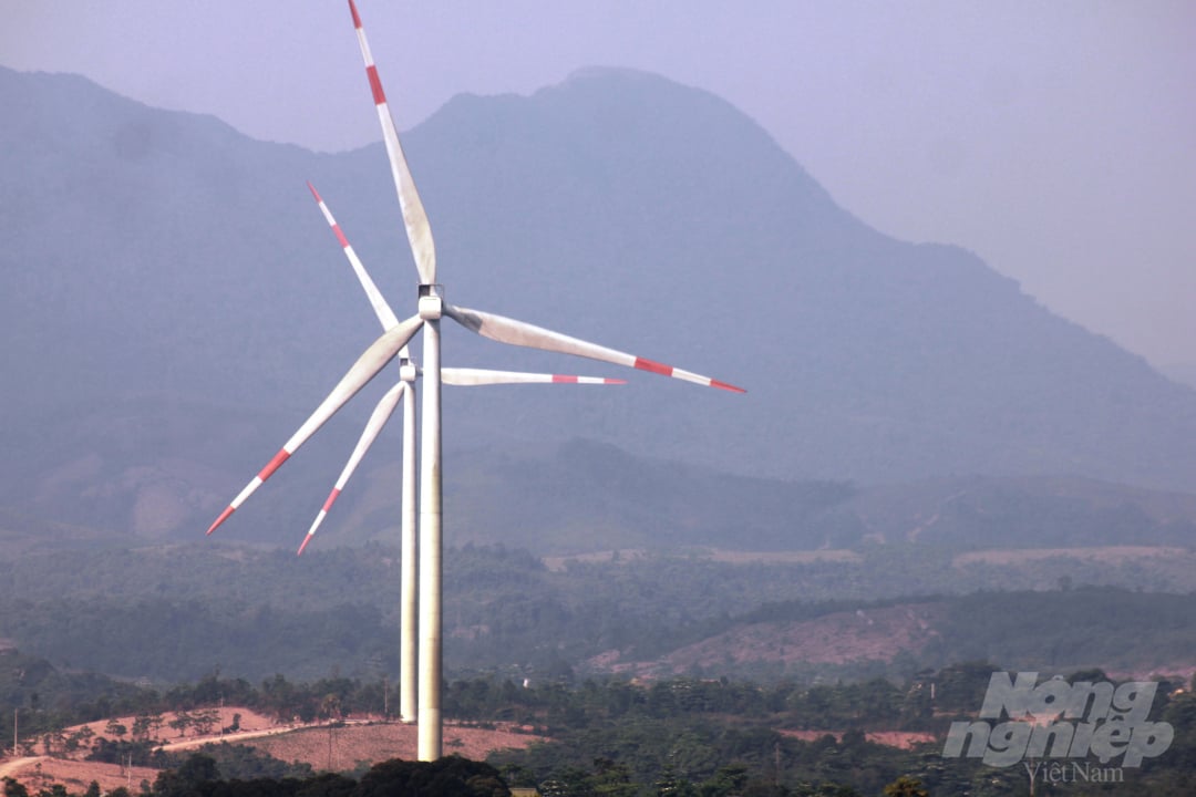 Nhà máy điện gió lớn nhất Việt Nam được khánh thành ở Ninh Thuận