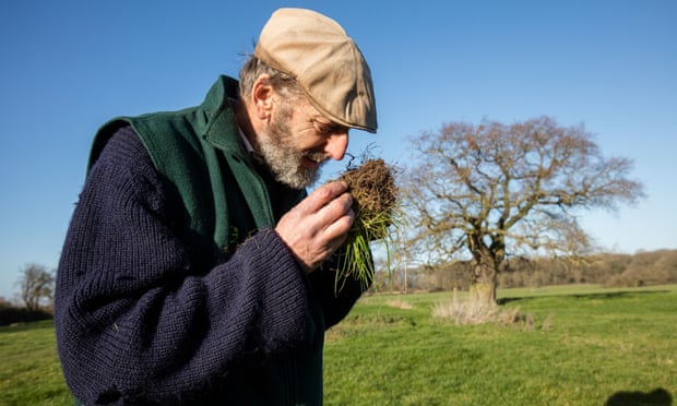 John Cherry, người đã thành lập Groundswell, sự kiện hàng đầu về nông nghiệp tái sinh của Vương quốc Anh, cho biết trang trại của ông (Weston Park Farms) đang đổi mới phương pháp sản xuất bền vững và tuân theo nguyên tắc: Không cày xới; sử dụng cây che phủ nếu có thể và luân canh đa dạng. Ảnh: Guardian.
