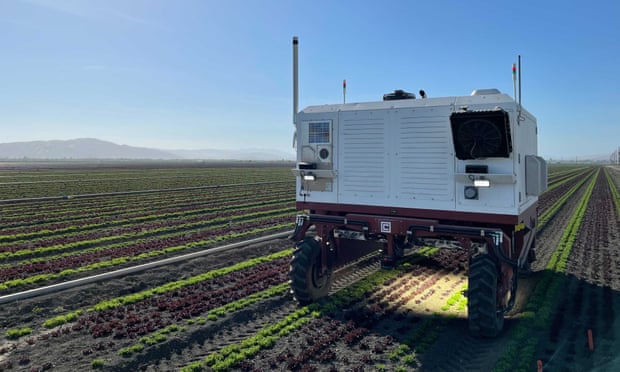 Một robot do Carbon Robotics sản xuất đang diệt cỏ dại trên đất nông nghiệp bằng cách sử dụng tia laser. Ảnh: Carbon Robotics.