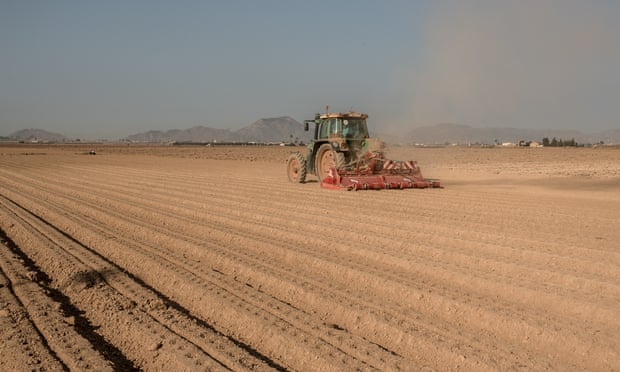 Ở Tây Ban Nha, khoảng 1/5 diện tích đất hiện có nguy cơ bị sa mạc hóa cao. Ảnh: Getty.