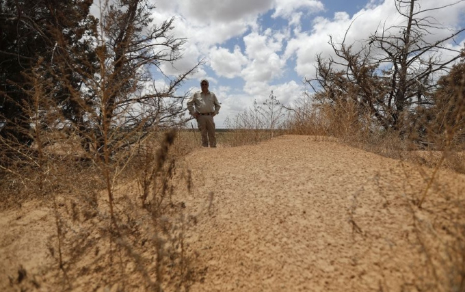 Jude Smith, một nhà sinh vật học tại Khu bảo tồn Động vật Hoang dã Quốc gia Muleshoe bên ngoài Muleshoe, Texas, nhìn vào một đống cát lớn bị dồn lại sau một cơn bão bụi. Ảnh: AP.