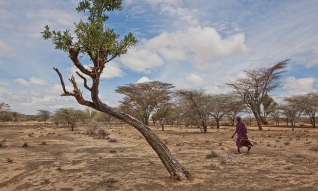 Một người đàn ông băng qua vùng đất khô cằn ở phía tây Turkana, một trong 23 quận ở Kenya đang đối mặt với nhu cầu cấp thiết về lương thực do mưa kém. Ảnh: Getty.