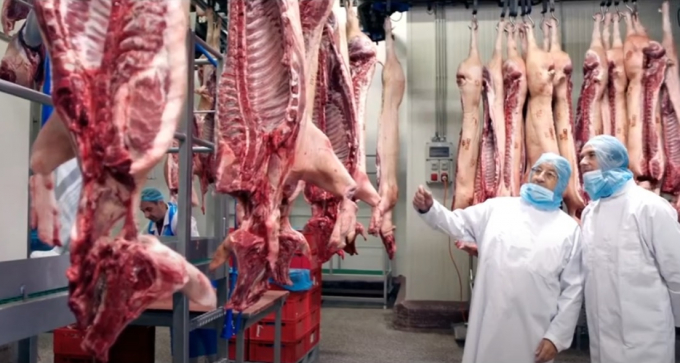 Xuất khẩu thịt lợn đóng góp mạnh mẽ vào sự gia tăng xuất khẩu nông sản chung của EU. Ảnh minh họa: YouTube.