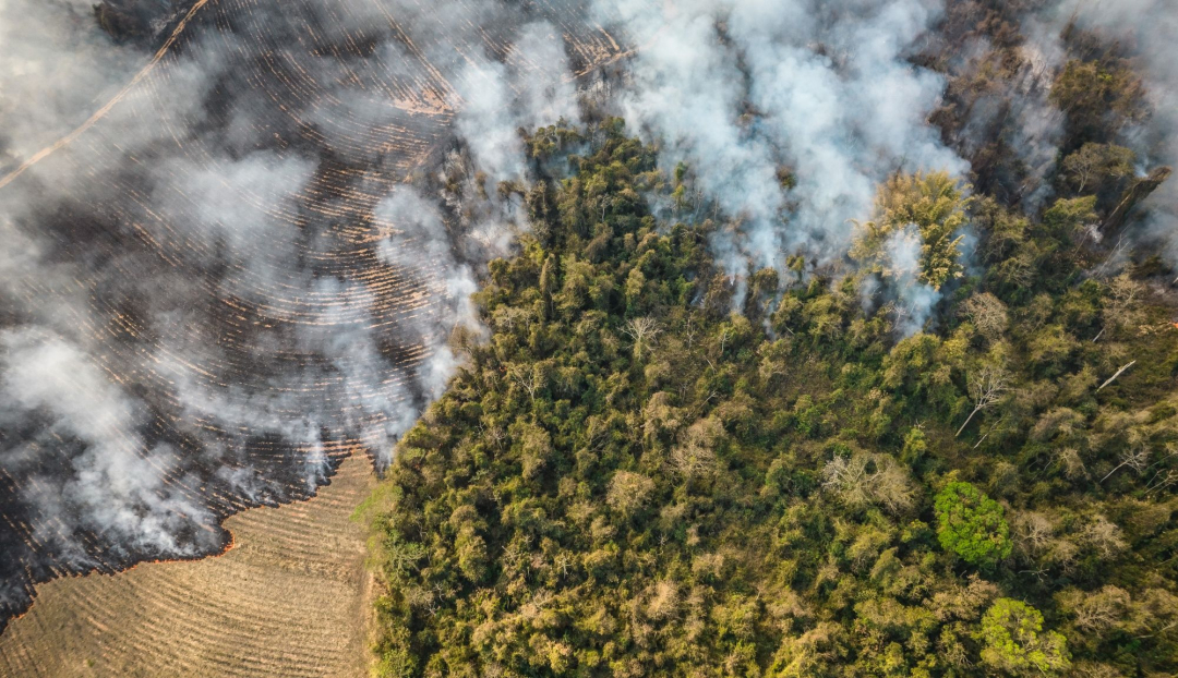 Lửa bùng cháy tại một trang trại gần khu đất được bảo vệ môi trường ở bang Sao Paulo ngày 24/8/2021. Ảnh: Bloomberg.