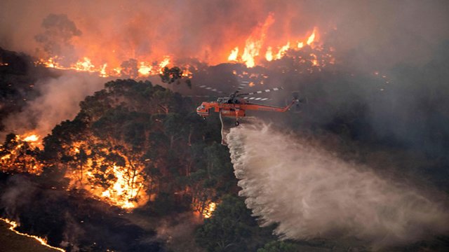 Một vụ cháy rừng thảm khốc tại Australia kéo dài từ cuối năm 2019 sang đầu năm 2020.