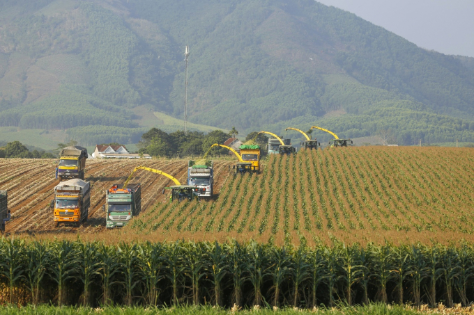 Vùng nguyên liệu của TH riêng tại Nghệ An rộng 8.100 ha, sử dụng hệ thống máy móc nông nghiệp hiện đại hàng đầu thế giới.