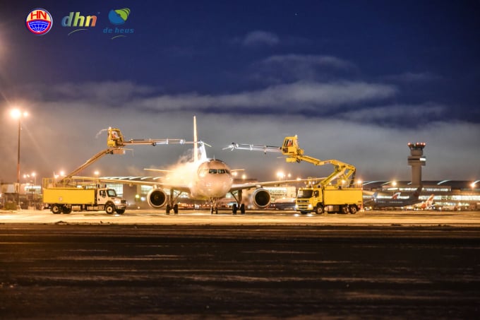 Lô heo được bố trí về tới sân bay quốc tế Tân Sơn Nhất vào buổi tối nhằm hạn chế tối đa tình trạng sốc nhiệt có thể xảy ra.