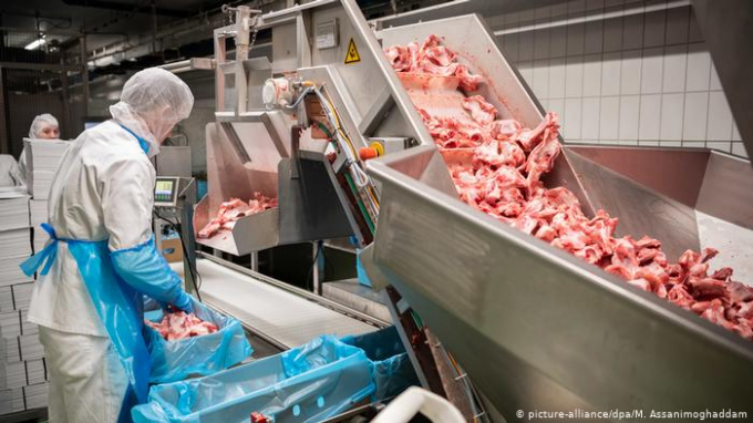 Lao động thời vụ đang bị ngành công nghiệp thịt bóc lột thậm tệ. Ảnh minh họa: DPA.