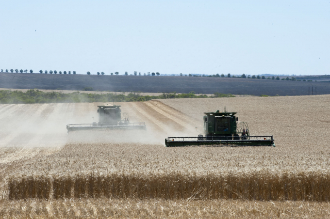Úc dự báo sẽ có sản lượng thu hoạch lúa mì lớn, đạt kỷ lục 32,6 triệu tấn trong năm 2021/22.
