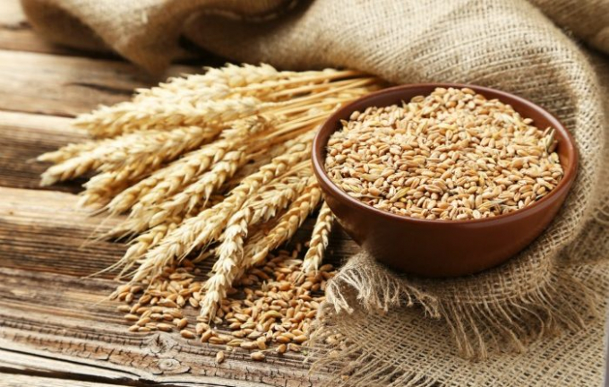 Một số nguồn tin trong ngành nông nghiệp Iran cho biết nước này dự kiến phải nhập khẩu tới 8 triệu tấn lúa mì trong vụ mùa hiện tại. Ảnh minh họa: Getty.