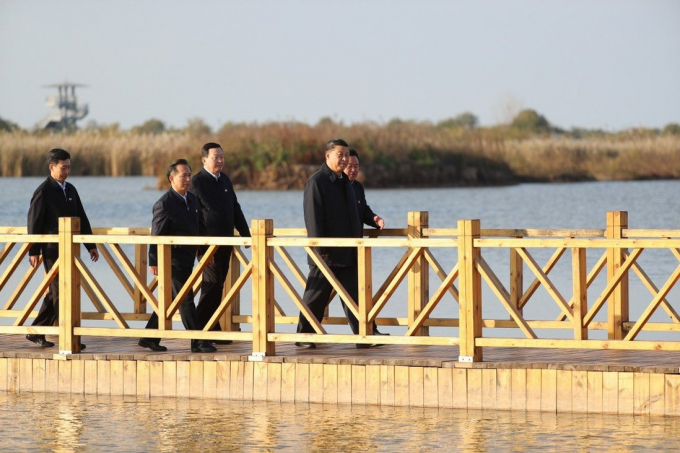 Chủ tịch Trung Quốc Tập Cận Bình thăm khu bảo tồn ở đồng bằng sông Hoàng Hà hôm 21/10. Ảnh: THX.