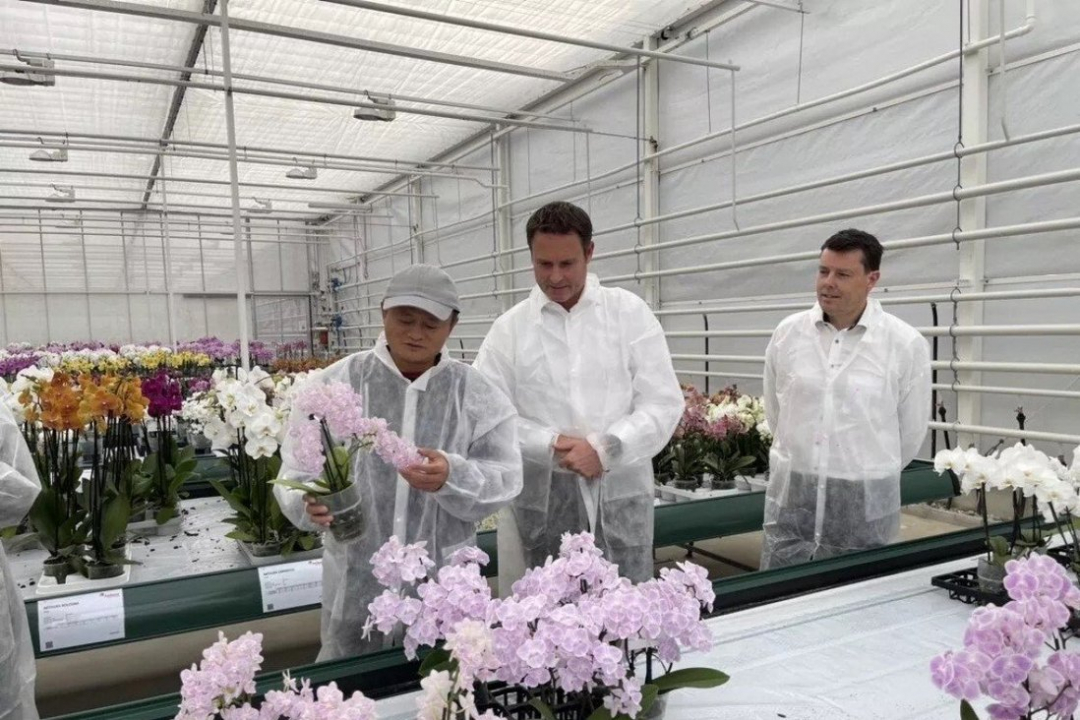 Jack Ma đến thăm một cơ sở nghiên cứu ở Hà Lan, nơi công nghệ nhà kính được trưng bày, vào ngày 25/10/2021.