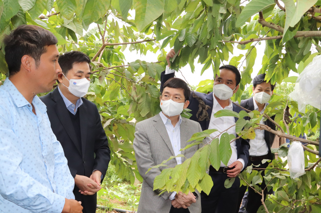Đoàn Công tác trao đổi về mô hình HTX Dịch vụ Nông nghiệp tại huyện Mai Sơn (Sơn La).