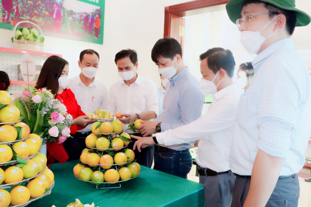 Chánh Văn phòng điều phối NTM Trung ương Nguyễn Minh Tiến (thứ 4 từ trái sang) tham quan cửa hàng trưng bày, giới thiệu sản phẩm OCOP ở thị trấn Vũ Quang.
