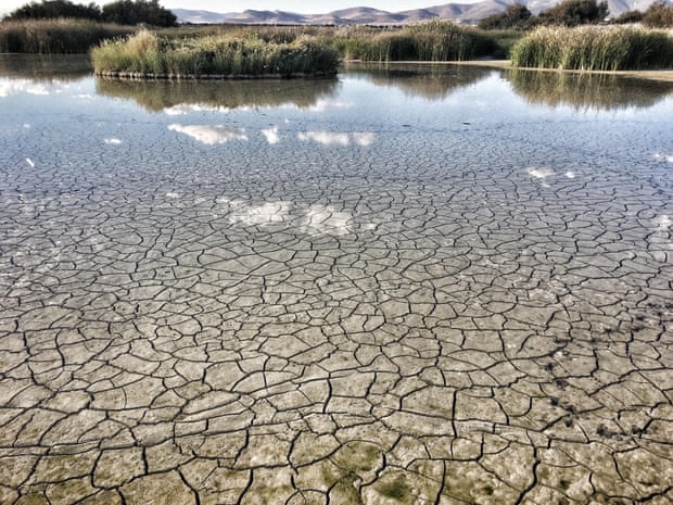 Vườn quốc gia Las Tablas de Daimiel ở miền trung Tây Ban Nha đã khô hạn trong ba năm. Ảnh: Alamy.