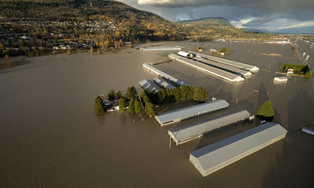 Các chuồng trại ngập nước ở Abbotsford, British Columbia, một trong những khu vực trang trại thâm canh nhất của Canada. Ảnh: AP.