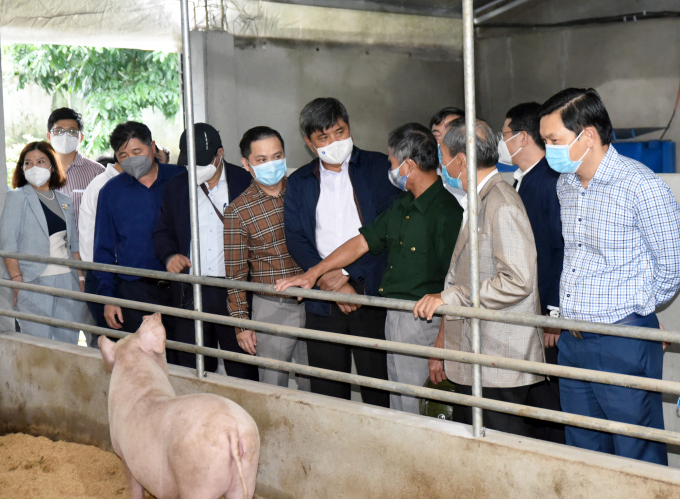 Thứ trưởng Trần Thanh Nam kiểm tra mô hình chăn nuôi lợn an toàn sinh học ở huyện Phong Điền. Ảnh: Hoàng Anh.