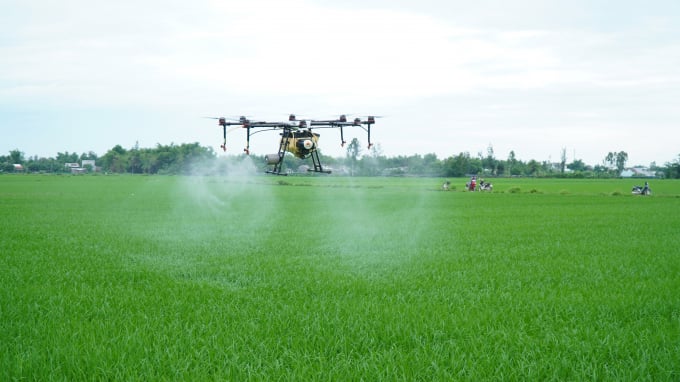 Lộc Trời cung cấp dịch vụ máy bay không người lái - drone - chuyên dụng để xử lý mùa vụ tại vùng nguyên liệu lúa giúp giảm chi phí và tăng hiệu quả sử dụng thuốc BVTV.