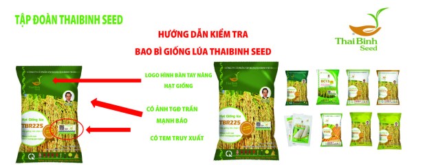 Hướng dẫn kiểm tra bao bì giống lúa của ThaiBinh Seed.
