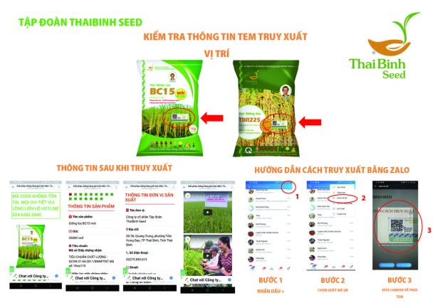 Cách truy xuất thông tin giống lúa ThaiBinh Seed.