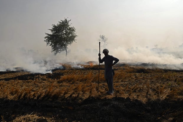 Một nông dân đốt rơm rạ tại Butana thuộc bang Haryana, gần Delhi. Hơn 70.000 đám cháy trong số này được vệ tinh phát hiện ở Ấn Độ trong năm nay. Ảnh: Money.