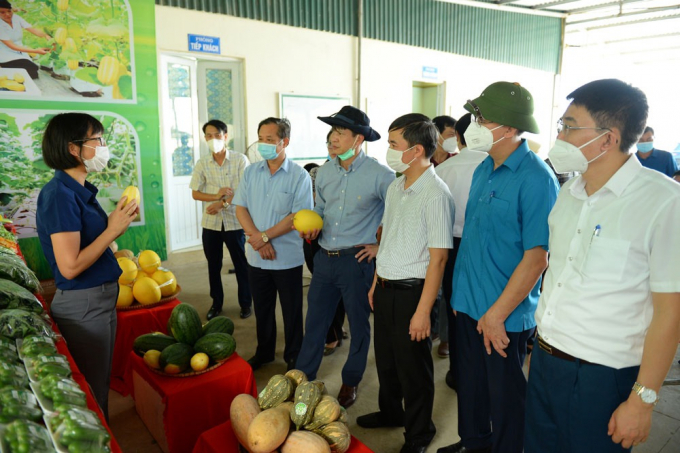 Đoàn công tác của Văn phòng Điều phối NTM T.Ư thăm khu sản xuất nông nghiệp công nghệ cao của HTX rau sạch Yên Dũng, tại xã Tiến Dũng.