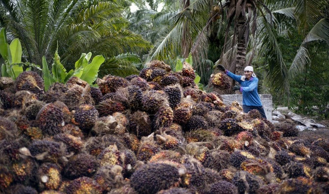 马来西亚计划加强棕榈油市场