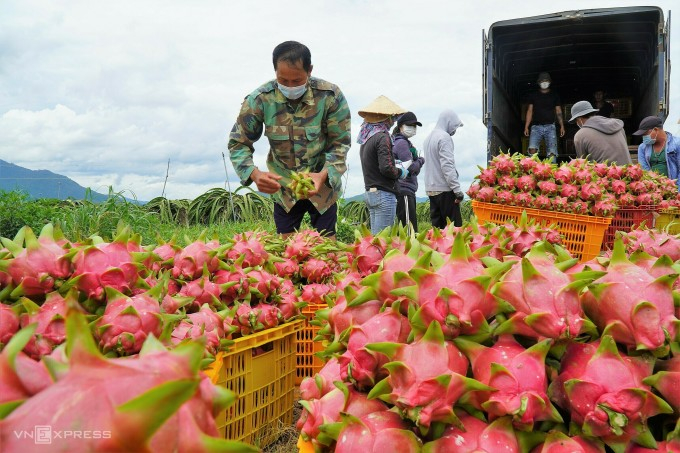 thanh long binh thuan